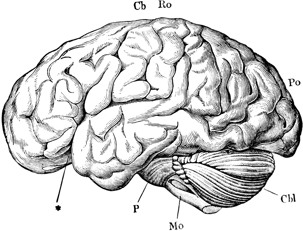 A healthy, curious mind is your most precious resource